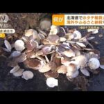 北海道で“ホタテ稚貝”大量死　1億8000万粒　7億円被害…ふるさと納税・海外で人気も(2023年4月5日)