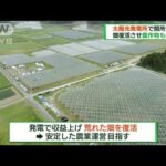 太陽光発電所で開所式　畑復活させ農作物も栽培(2023年4月23日)