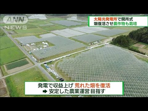 太陽光発電所で開所式　畑復活させ農作物も栽培(2023年4月23日)