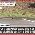 【結果を公表】神奈川県内2つの“虐待死”　県が対応について検証