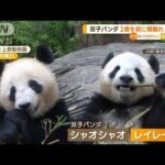 上野の双子パンダ…2歳を前に「親離れ」　離乳も(2023年4月28日)