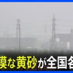 「洗車も明日以降に…」“2年ぶり”大量の黄砂が日本に飛来　32の気象台で観測　早ければ12日夜からピーク｜TBS NEWS DIG