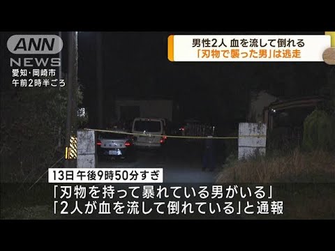 愛知・岡崎市で男性2人が刃物で襲われる　男は逃走(2023年4月14日)