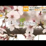 列島に“春の嵐”　桜は見納めに…東京で“風速20m”　7軒焼ける住宅火災も　1人死亡(2023年4月7日)