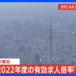 【速報】2022年度の有効求人倍率「1.31倍」　2年連続増加もコロナ前の水準にはまだ戻らず　「宿泊業・飲食サービス業」中心に持ち直しの動きも｜TBS NEWS DIG