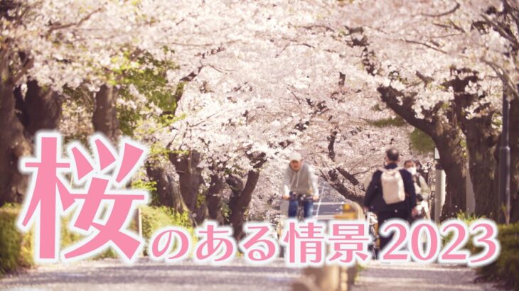 【ドキュメント】桜のある情景2023 Scenes with Cherry Blossoms ～テレビ朝日報道カメラマンが撮影した厳選映像～（2023/4/7） ANN/テレ朝