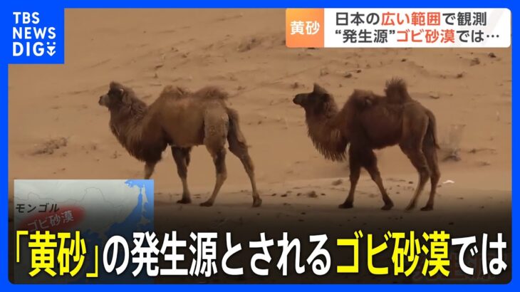 22年には東京ドーム“約80万個分”も 「黄砂」の“発生源”とされるゴビ砂漠で進む“植林”｜TBS NEWS DIG