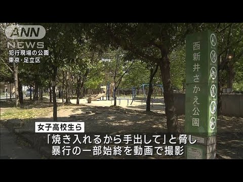 「焼き入れるから」中3少女に根性焼き　暴行の一部始終を撮影　少女5人逮捕(2023年4月12日)