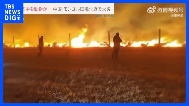 中国・モンゴル国境付近で草原火災　3日間燃え広がる｜TBS NEWS DIG