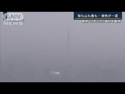 ゴーグル・マスク3枚…朝からしっかり対策　東京で2年ぶりに黄砂を観測(2023年4月13日)