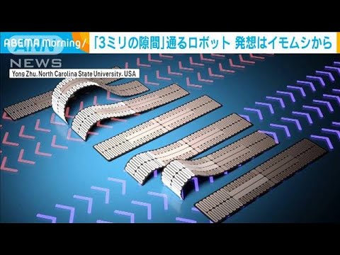 「3ミリの隙間」通るロボット　発想はイモムシから(2023年4月20日)