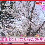 【桜】外国人も歓喜！3月松山で満開  賑わう人々の声　愛媛　NNNセレクション