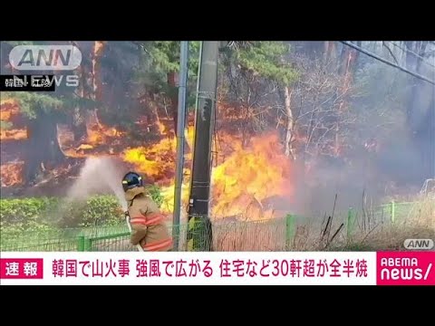 韓国・江原道で山火事　住宅など30軒以上が全半焼　強風で被害拡大の恐れ(2023年4月11日)