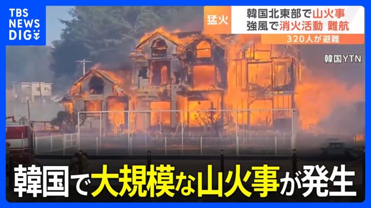 韓国北東部・江陵で大規模な山火事　30メートルに達するほどの台風並みの強風で火が拡大　周辺住民およそ320人が避難｜TBS NEWS DIG