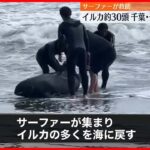 【イルカ約30頭打ち上げられる】釣ヶ崎海岸 サーファーら海に戻すも…救出作業は難航