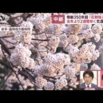 樹齢350年超「石割桜」が満開　去年より2週間早く…気温上昇で(2023年4月6日)