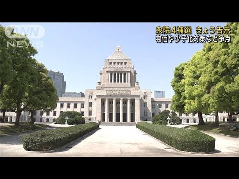 衆院4補選きょう告示 物価高や少子化対策など争点(2023年4月11日)