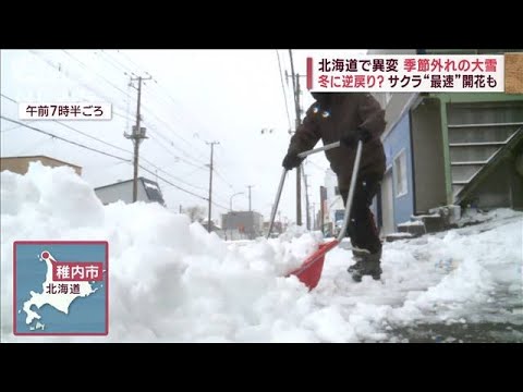 近ごろ天気がヘン！4月の吹雪・都心の雹…春の風景様変わり(2023年4月17日)