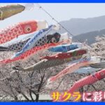 役目を終えた鯉のぼり 桜の季節に復活 ～岐阜・相川水辺公園～【令和のサクラ】｜TBS NEWS DIG