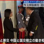 【台湾・蔡総統】グアテマラ大統領と会談　外交関係の維持と連携強化を確認