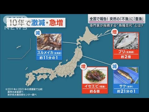 富山湾でホタルイカ激減 函館でブリ急増 異変相次ぐ日本の海に専門家は「魚種交代」(2023年4月3日)