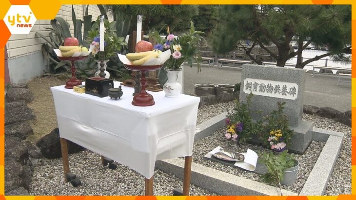 和歌山県太地町「くじらの博物館」飼育中に死んだ動物の冥福を祈って供養祭が行われる