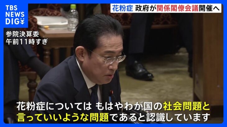 【速報】岸田総理、花粉症は「もはや我が国の社会問題」　関係閣僚会議開催を表明｜TBS NEWS DIG
