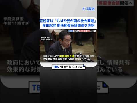 岸田総理、花粉症は「もはや我が国の社会問題」　関係閣僚会議開催を表明 | TBS NEWS DIG #shorts