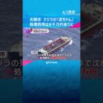 大阪湾で死んだクジラの“淀ちゃん”処理費用総額８０００万円余り#shorts #読売テレビニュース