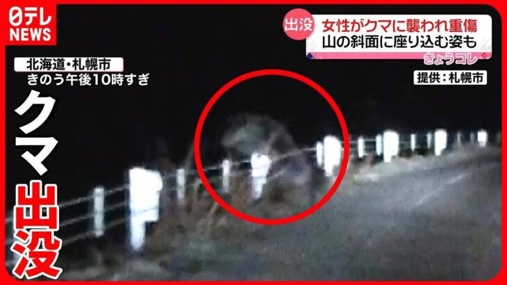 【注意】クマの出没相次ぐ　犬の散歩中に襲われ重傷も…北海道