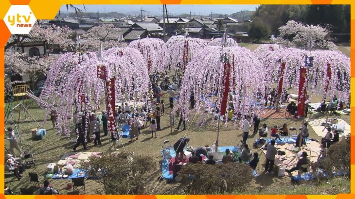 「ホイノボリ」を立てて春の訪れを祝う　新型コロナの影響で４年ぶりに開催　滋賀・日野町