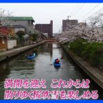 カヤックで川沿いの桜並木を楽しむ ～鳥取・米子市～【令和のサクラ】｜TBS NEWS DIG