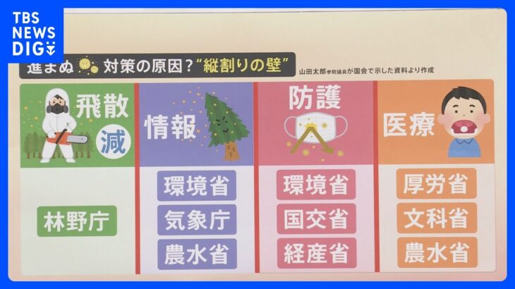 岸田総理、花粉症は「もはや我が国の社会問題」“花粉症対策”なぜ進まなかった?背景に“縦割りの壁”【解説】｜TBS NEWS DIG