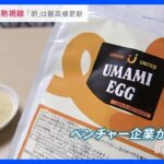 卵だけどたまごじゃない！ 価格高騰で注目が集まる「代替卵」とは？大手食品メーカーやベンチャー企業も続々参入【news23】｜TBS NEWS DIG