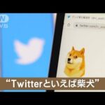 ツイッターロゴが突然…“青い鳥”から“柴犬”に　モデルは「千葉のかぼすちゃん」(2023年4月5日)