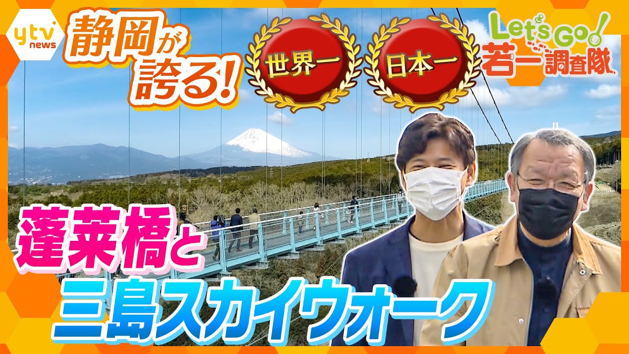 【若一調査隊】 静岡県の意外な『世界一&日本一』に迫る! 2つの吊り橋を徹底調査!圧巻の景色とその歴史とは 【静岡スペシャル第3弾!】