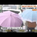 西日本や東日本で激しい雨　強風で交通機関に影響も(2023年4月6日)