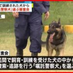 【埼玉県警】民間で訓練された犬から「嘱託警察犬」選ぶ審査会