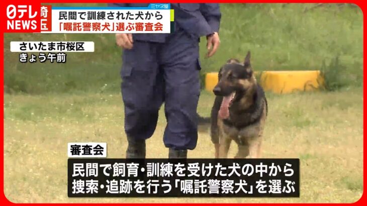 【埼玉県警】民間で訓練された犬から「嘱託警察犬」選ぶ審査会