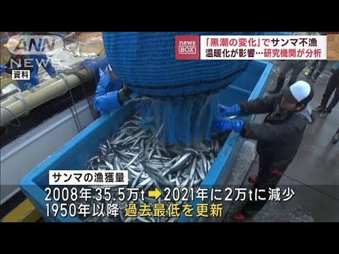 サンマ不漁要因を水産庁が分析　温暖化・エサ減少・潮変化…(2023年4月7日)