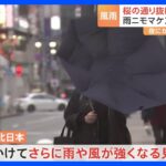 「飛んでいっちゃいそう」全国的に荒れ模様の天気 東日本・西日本は夜にかけて強い雨風　一方、ある赤ちゃんのお披露目も｜TBS NEWS DIG
