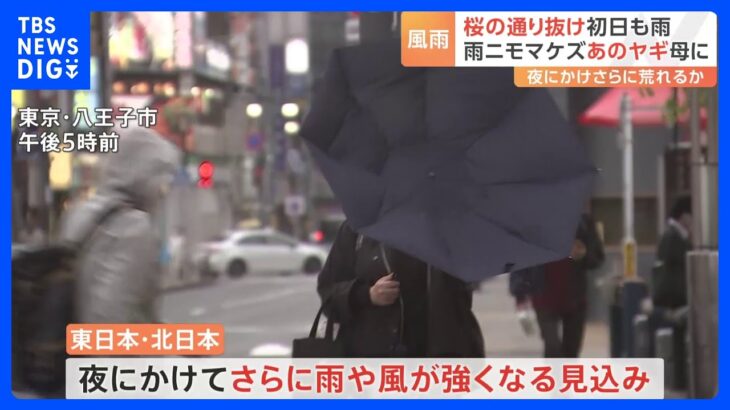 「飛んでいっちゃいそう」全国的に荒れ模様の天気 東日本・西日本は夜にかけて強い雨風　一方、ある赤ちゃんのお披露目も｜TBS NEWS DIG