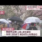 大阪・桜の通り抜け　天気は恵まれずとも「雨の桜もまたキレイ」(2023年4月7日)