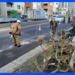 「もう爆弾落ちたみたいな」トラックが歩道に乗り上げ、街路樹などなぎ倒す　東京・足立区｜TBS NEWS DIG