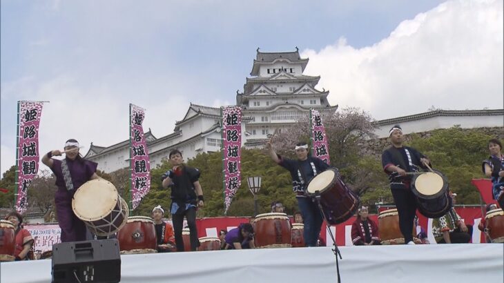 国宝・姫路城で観桜会が４年ぶりに通常開催　飲食のブース設けられ琴の演奏や勇壮な和太鼓も