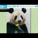 タケノコを夢中で…中国に帰った「シャンシャン」動画初公開(2023年4月10日)