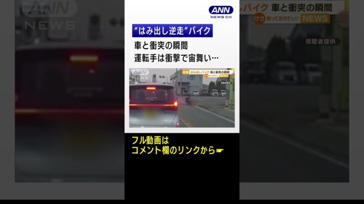 “はみ出し逆走”バイク　車と衝突の瞬間　運転手が…衝撃で宙舞い　頭から道路落下 #shorts