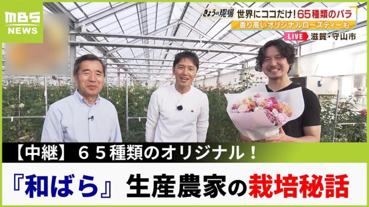 【解説】唯一無二『和ばら』の栽培秘話　１００枚の花びら持つバラも！６５種類のオリジナル育てる生産農家に聞く魅力（2023年4月10日）