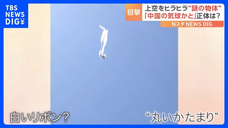 各地の上空をヒラヒラ…目撃相次ぐ“謎の浮遊物”「中国の気球かと」その正体を調べてみた｜TBS NEWS DIG