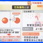 黄砂襲来･･･東京に飛来の予報も “花粉爆発”現象に要注意！【解説】｜TBS NEWS DIG